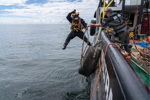 Rein ins Reich der Austern: Nachdem Kalksteine für das neue Riff in der Nordsee versenkt worden sind, markieren Taucher es unter Wasser mit Tampen. Später werden sie die Saataustern ausbringen