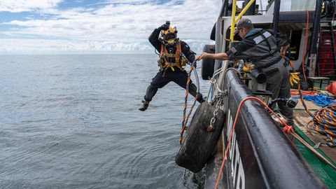 Rein ins Reich der Austern: Nachdem Kalksteine für das neue Riff in der Nordsee versenkt worden sind, markieren Taucher es unter Wasser mit Tampen. Später werden sie die Saataustern ausbringen