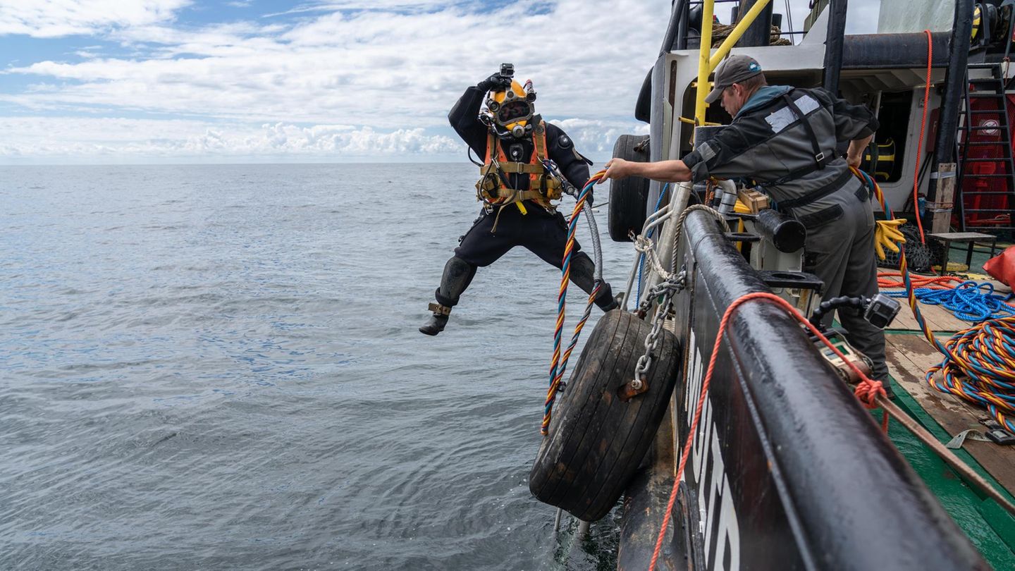 "Gefrässige kleine Dinger": Rein ins Reich der Austern: Nachdem Kalksteine für das neue Riff in der Nordsee versenkt worden sind, markieren Taucher es unter Wasser mit Tampen. Später werden sie die Saataustern ausbringen Rein ins Reich der Austern: Nachdem Kalksteine für das neue Riff in der Nordsee versenkt worden sind, markieren Taucher es unter Wasser mit Tampen. Später werden sie die Saataustern ausbringen