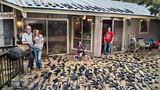 Joel, Lynne, Paige, Yoshua, Texas  Beim Sammeln konzentriert sich Joel, der Vater, auf Uhren und ferngesteuerte Autos. Motorräder auch. Lynne, seine Frau, mag Waffen. Es liegt in der Familie. Ihre Eltern nahmen Lynne schon als Kind mit zum Schießen auf die Ranch der Großeltern. Lynne schoss. Und wenn sie später ausging, ermahnte die Oma sie: Nimm eine Waffe mit. Heute baut Lynne ihre Waffen selbst. Aus alten Einzelteilen, die sie nach und nach zusammenkauft. "Irgendwann merke ich, dass ich, sagen wir, 70 Prozent einer Glock zusammenhabe." Noch ein paar Teile, denke sie dann, "schon habe ich eine weitere Waffe". Es müssen jetzt so zwischen 150 und 170 sein in ihrer Sammlung. Das Schießgerät, das ihr Sohn in der Hand hält, ist übrigens seines, er hat es sich selbst gebaut. Bei ihrer Tochter, zum Zeitpunkt der Aufnahme fünf Jahre alt, sind Lynne und Joel noch vorsichtig: Sie darf nur unter Aufsicht der Eltern schießen.