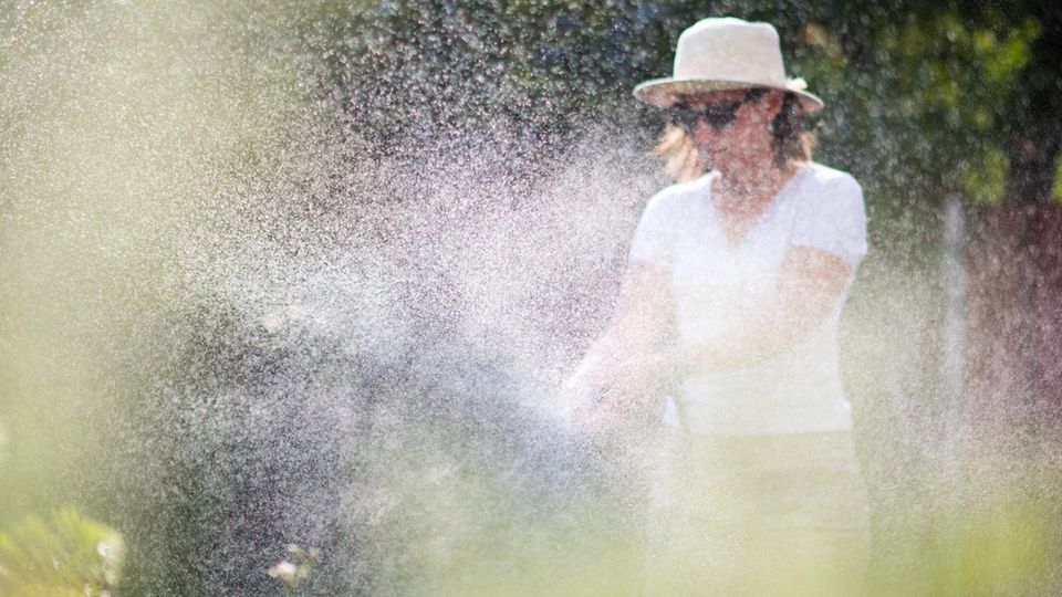 Garten smart bewässern – und dabei Umwelt und Geldbeutel schonen