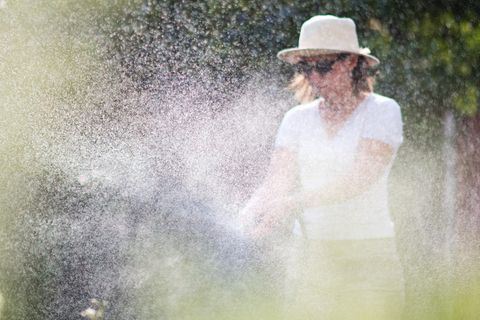 Garten smart bewässern – und dabei Umwelt und Geldbeutel schonen