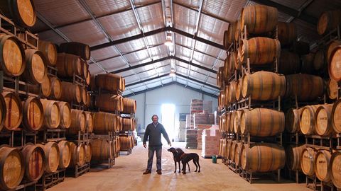 Neben seinem in die Felsen getriebenen Weinkeller altert der vergorene Traubensaft bei Maxwell Wines auch im temperierten Wellblechhangar, wie es bei den meisten australischen Weingütern üblich ist - seine Jagdhunde begleiten ihn stets auf dem Rundgang