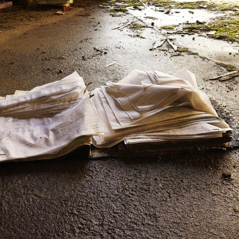 Ein Brite fand einen durchnässten Stapel Papiere (Symbolbild)