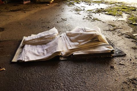 Ein Brite fand einen durchnässten Stapel Papiere (Symbolbild)
