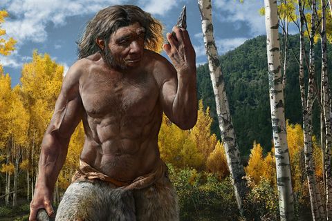 Der "Homo longi" war größer und kräftiger als der Homo Sapiens und ging doch unter