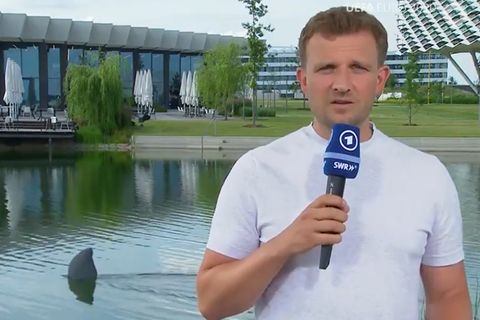 Haialarm im Campo Bavaria: Reporter Lennert Brinkhoff und die Haifischflosse