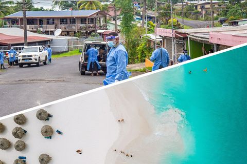 Corona-Welle erreicht Fidschi: Covid-Bedrohung im Paradies