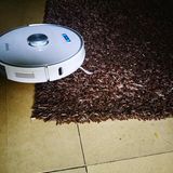 Der Ultenic T10 meistert auch flauschige Teppiche.