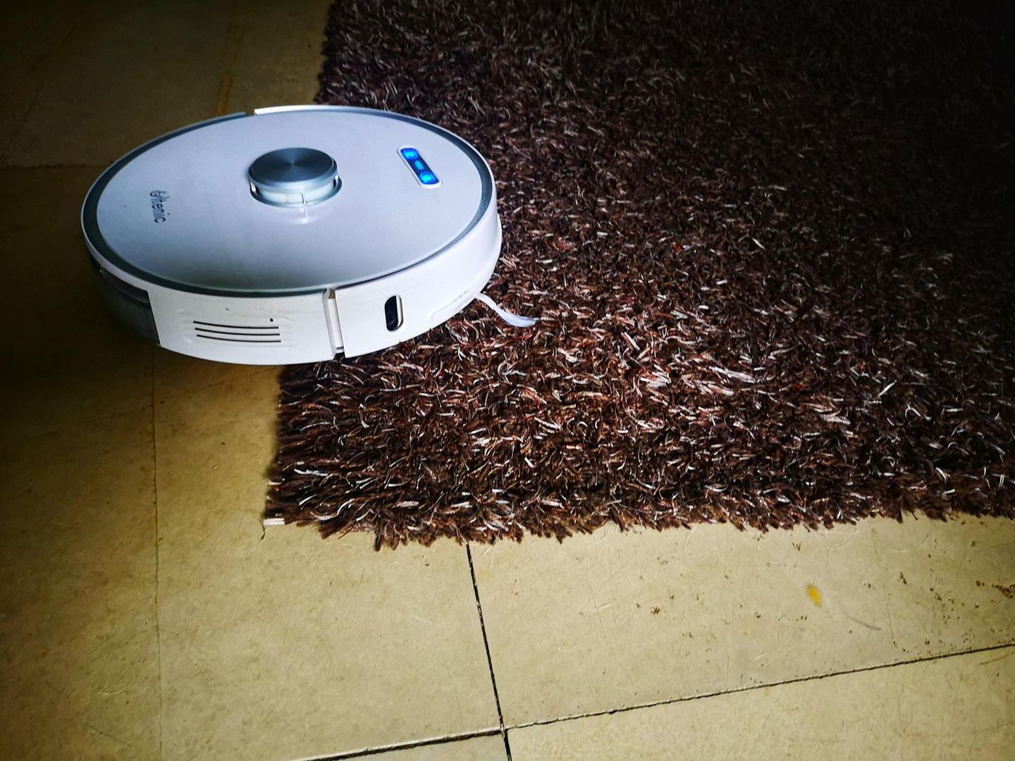 Der Ultenic T10 meistert auch flauschige Teppiche.