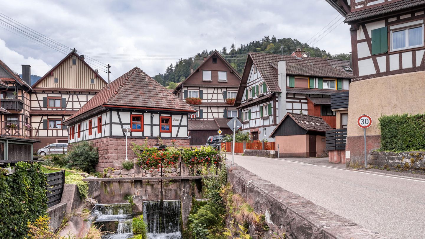 Drei-Länder-Tour mit Start in Freiburg im Breisgau Der Schwarzwald ist eine der schönsten Ecken Deutschlands. Wälder, Wasserfälle, klare Seen und romantische Kleinstädte zum Einkehren. Wenn da nicht die 1000 Höhenmeter wären, die es bei dieser Tour zu meistern gilt. Eine gute Kondition sowie ein Rad mit gut abgestimmter Schaltung wirken hier kleine Wunder. Noch besser lassen sich die 260 Kilometer mit dem Pedelec bewältigen. Die Tour startet und endet im verkehrstechnisch gut angebundenen Freiburg im Breisgau und führt in fünf Etappen auch nach Frankreich und nach Basel in die Schweiz. Wahrscheinlich die beste Art, diese traumhafte Gegend wirklich zu erleben. Detaillierte Informationen gibt es hier.