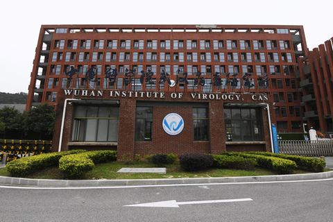 Das "Wuhan Institute of Virology" steht unter Beschuss.