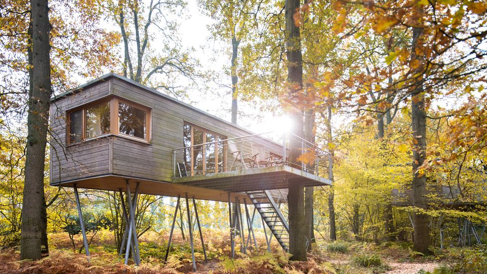 Baumhaus im Wald in Deutschland
