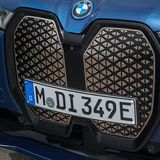 Hinter der mächtigen Niere befinden sich allerlei Sensoren