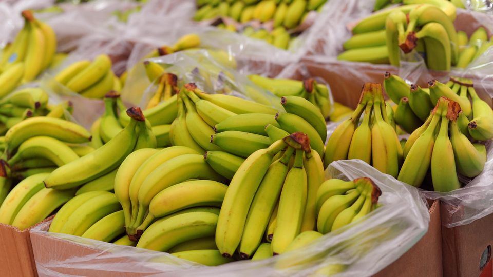 Sie sind ein Singlehaushalt und können mit einer halben Staude Bananen wenig anfangen? Kein Problem. Reißen sie sich einfach so viele Bananen zu recht, wie viele sie benötigen. Das ist nämlich erlaubt. Genauso dürfen Sie sich ein Ingwerstück zurechtzuzupfen, wem die ganze Wurzel zu groß ist. 