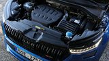 Skoda Kodiaq RS (MJ 2022)