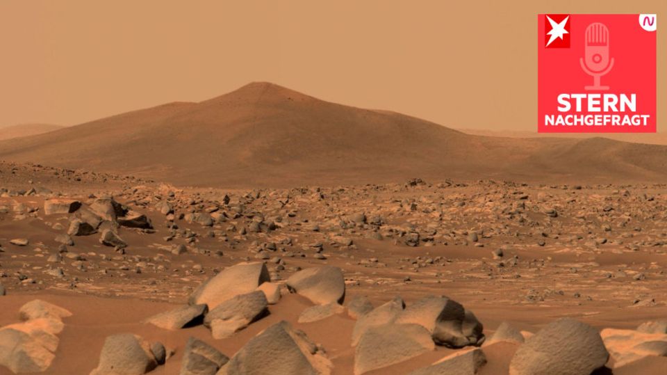 Aufnahme des Mars-Rover der NASA