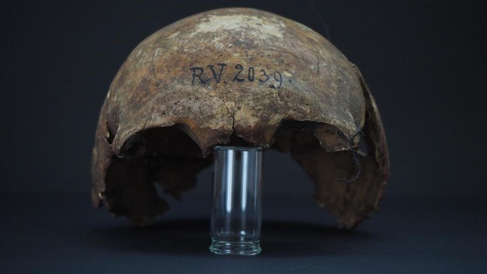 Schwarzer Tod : Patient Zero: Vor 5000 Jahre starb das älteste bekannte Pestopfer