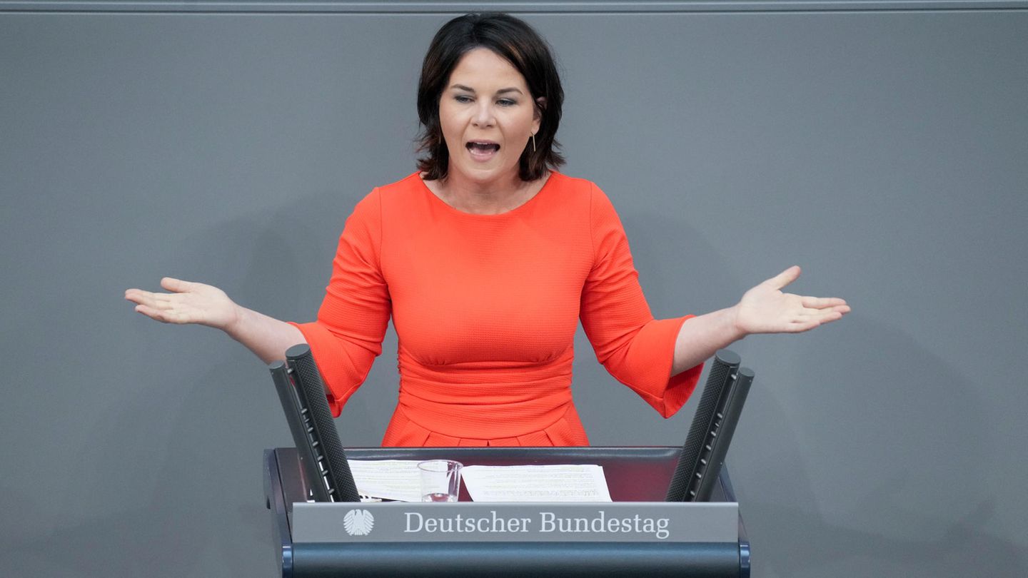 Annalena Baerbock im Bundestag - die Diskussion um ihre vermeintlichen Plagiate hält unser Autor für komplett überzogen
