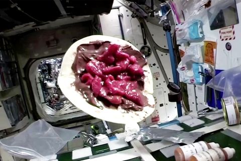 Schwerelose Delikatesse: ISS-Astronaut kredenzt "Crêpe" aus dem Weltall – bei einer Zutat hat er gemogelt