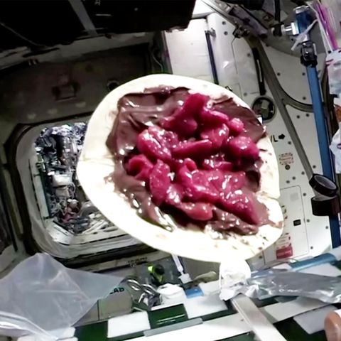 Schwerelose Delikatesse: ISS-Astronaut kredenzt "Crêpe" aus dem Weltall – bei einer Zutat hat er gemogelt