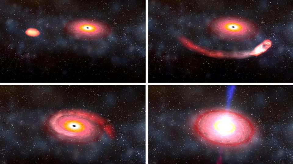 Ein schwarzes Loch verschluckt einen Neutronenstern