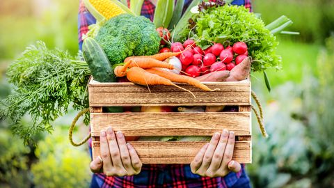 Ernährung und Depression: Eine Frau hält eine mit Gemüse bestückte Kiste in den Händen