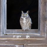 Lost Places New Mexico