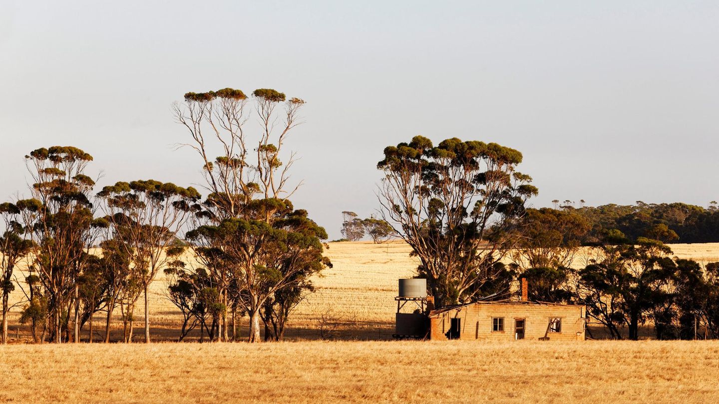 Einsam und verlassen: eine Farm in Wongan Hills, Western Australia
