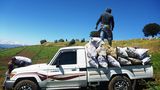 Toyota Land Cruiser LC 300 2022