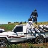 Toyota Land Cruiser LC 300 2022