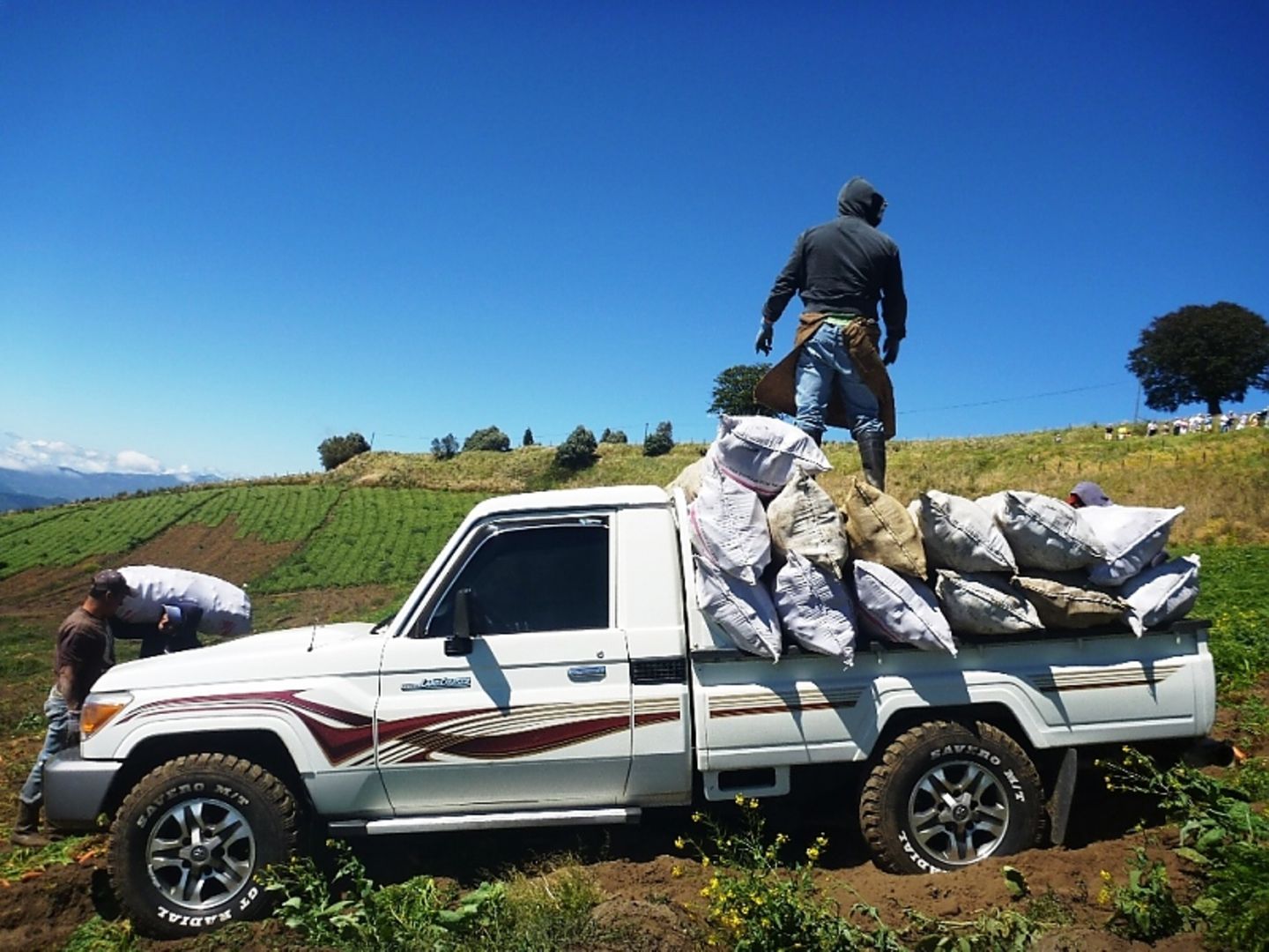 Toyota Land Cruiser LC 300 2022
