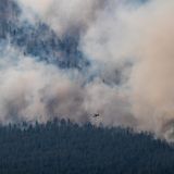 Ein Helikopter bekämpft den Waldbrand in der Region
