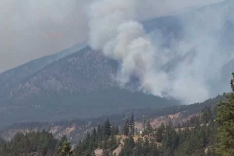 Kanada: Blitzeinschläge entfachen verheerende Waldbrände