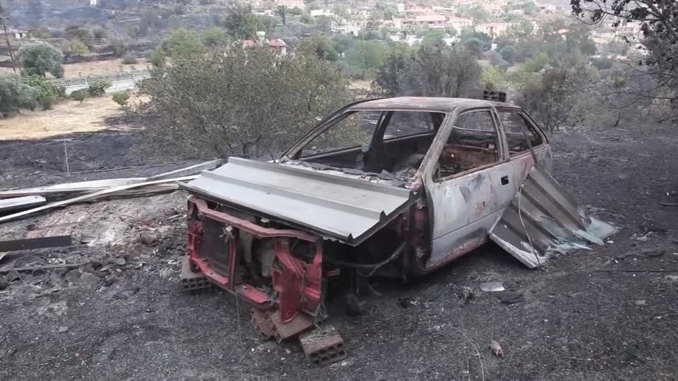 Video: Tote bei Waldbrand auf Zypern