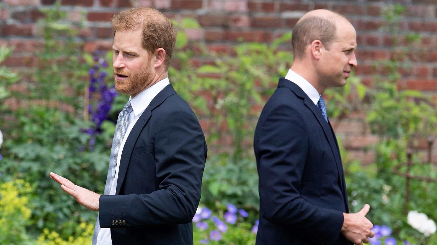 Prinz Harry und Prinz William