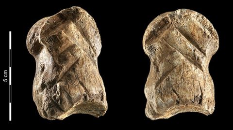 Verzierungen auf 51.000 Jahre alten Knochen in Niedersachsen entdeckt.