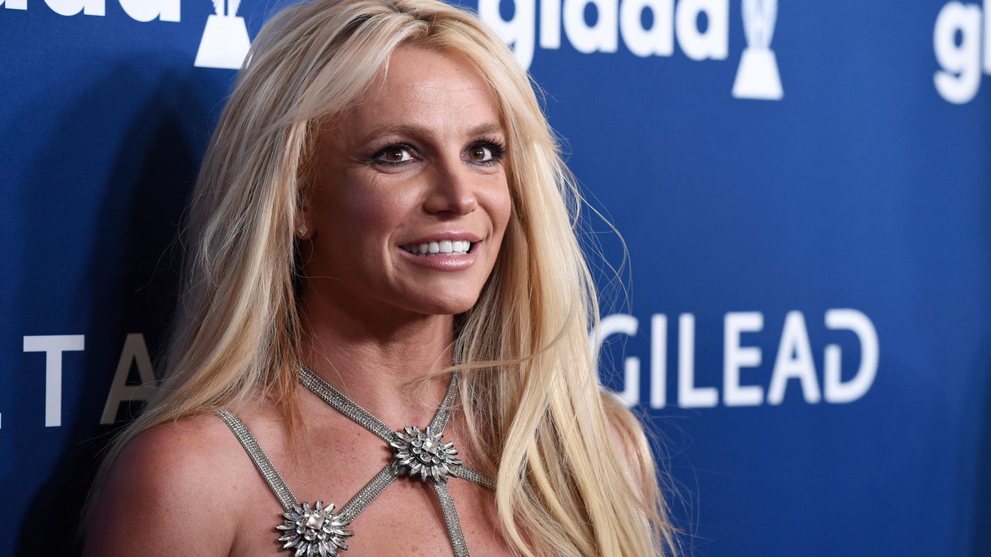 Anwalt von Britney Spears tritt ab