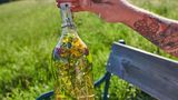 Eine Flasche Essig mit Kräutern