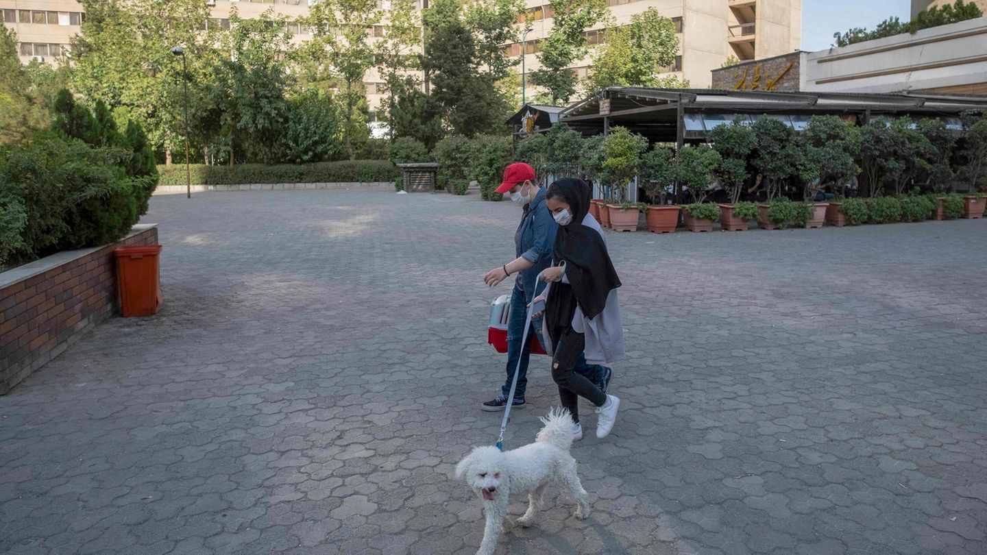 Ein Mann und eine Frau führen einen kleinen weißen Hund im Schatten von Wohn-Hochäusern spazieren