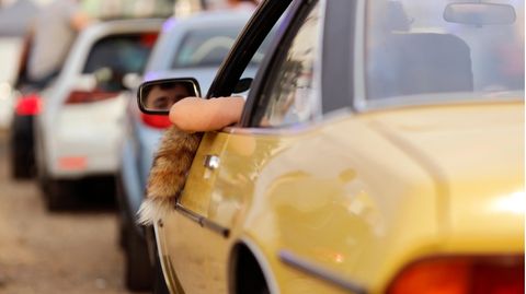 Ein Manta mit Fuchsschwanz und Ellenbogen aus dem Fenster im Autokino