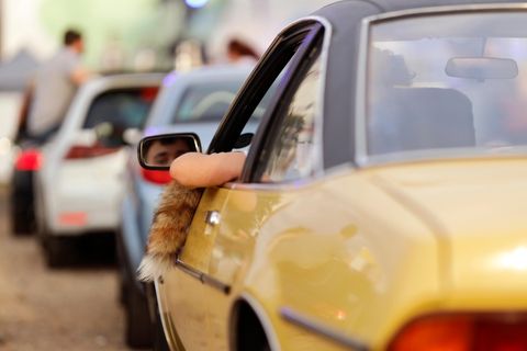 Ein Manta mit Fuchsschwanz und Ellenbogen aus dem Fenster im Autokino