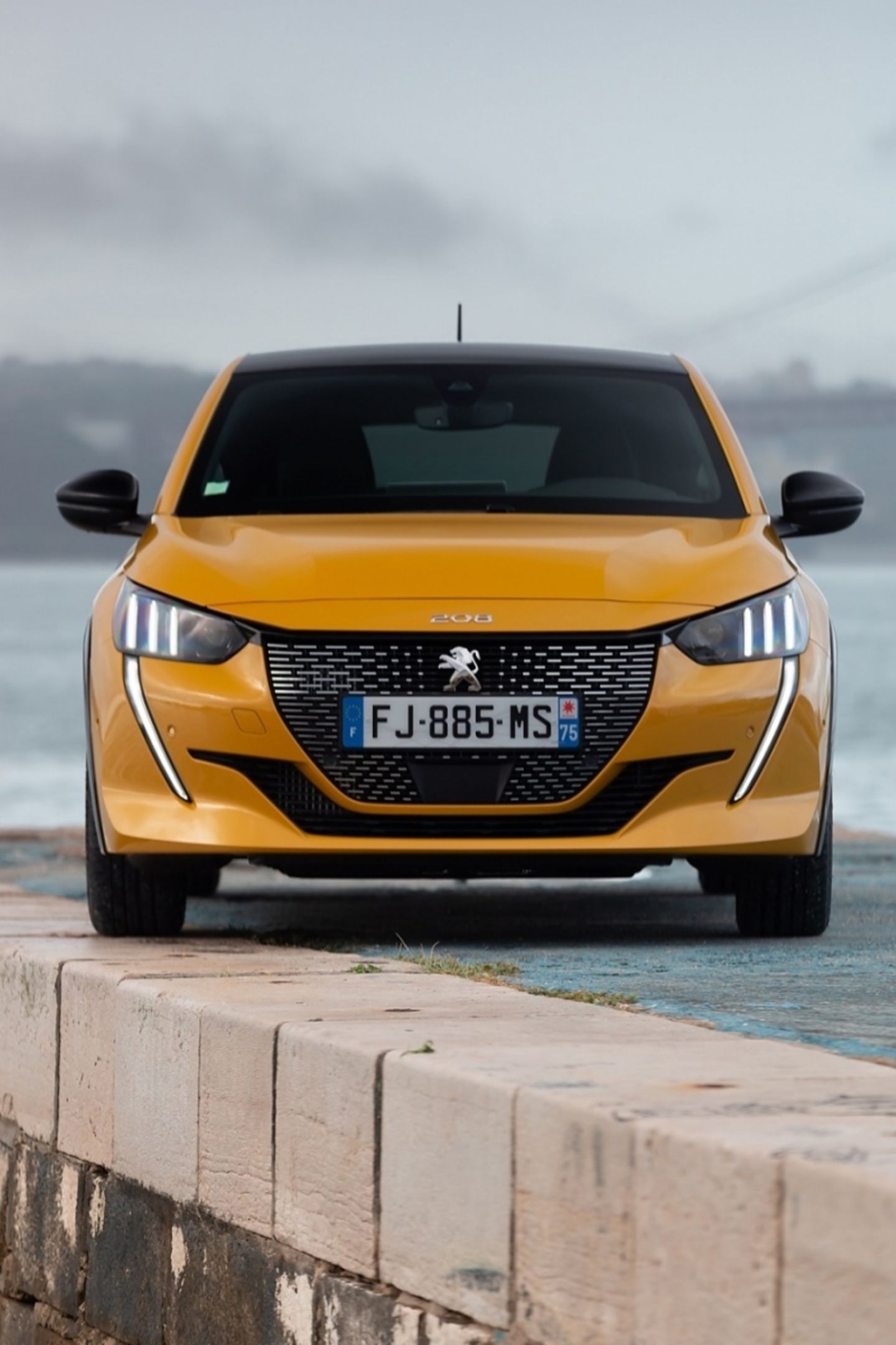 Peugeot 208 Puretech 130