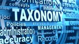 Was bedeutet EU-Taxonomie?