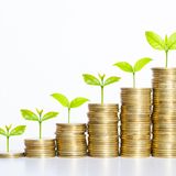 Wie man den richtigen ESG findet