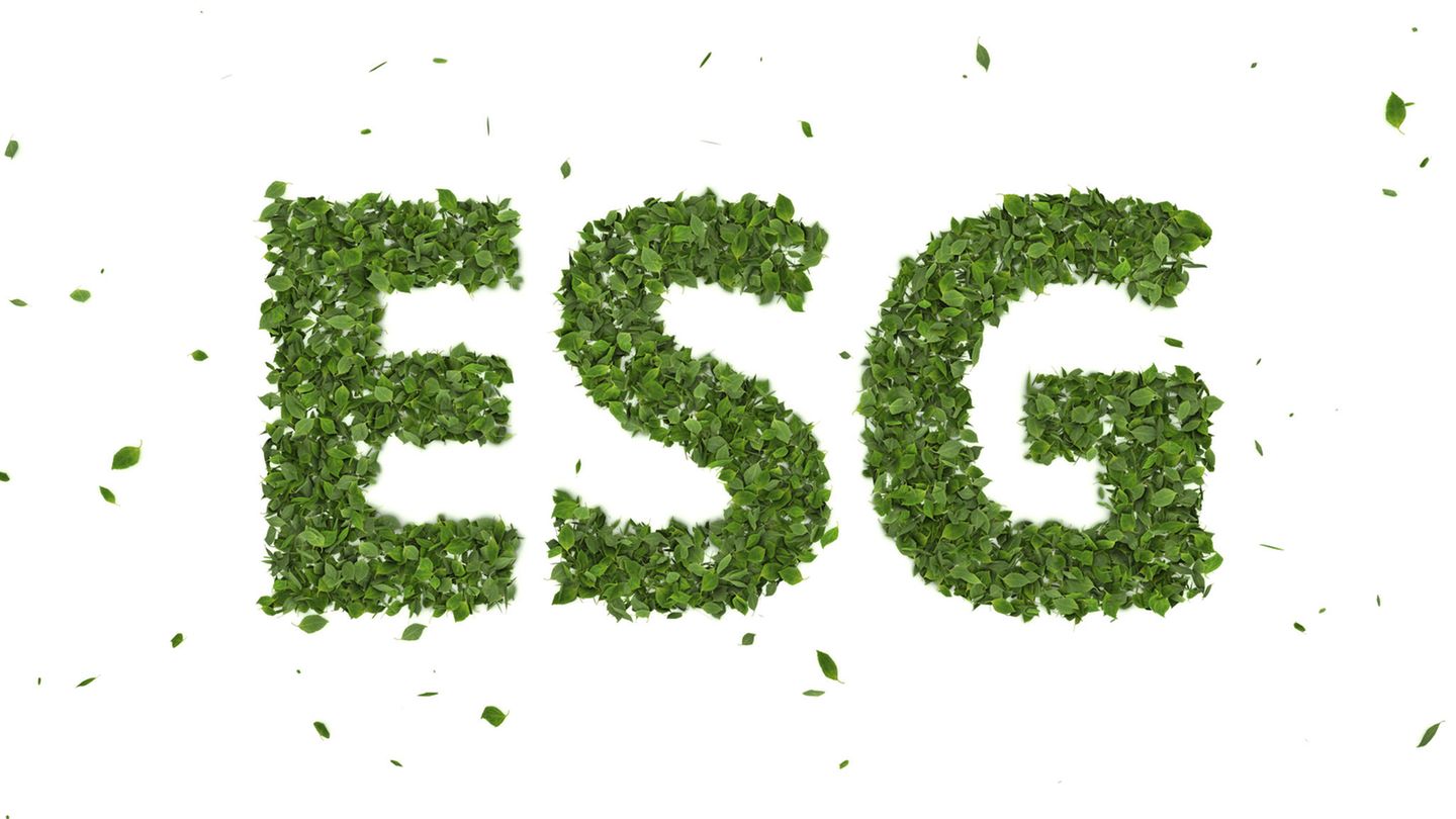 Was bedeutet ESG?
