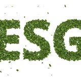 Was bedeutet ESG?