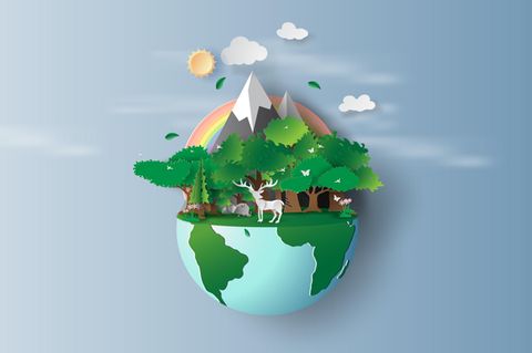 Macht die ESG-Geldanlage die Welt tatsächlich nachhaltiger?