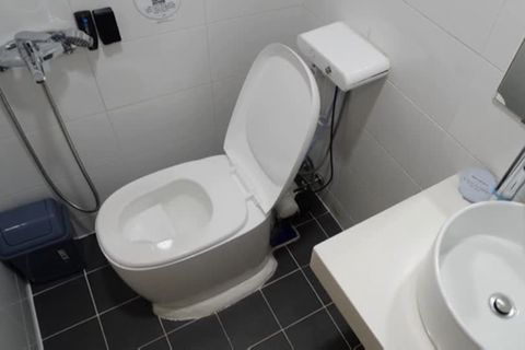Entwicklung aus Südkorea: Das Geschäft mit dem Geschäft: Toilette gewinnt Biogas und Dünger