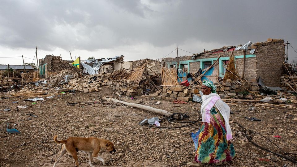 Lage in Tigray: Neun Tage nach dem Luftangriff auf den Markt von Togoga liegt Verwesungsgeruch in der Luft Neun Tage nach dem Luftangriff auf den Markt von Togoga liegt Verwesungsgeruch in der Luft